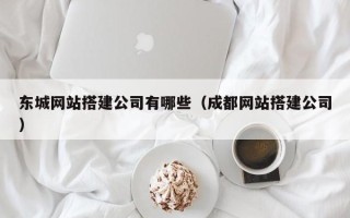 万宁东城网站搭建公司有哪些（成都网站搭建公司）